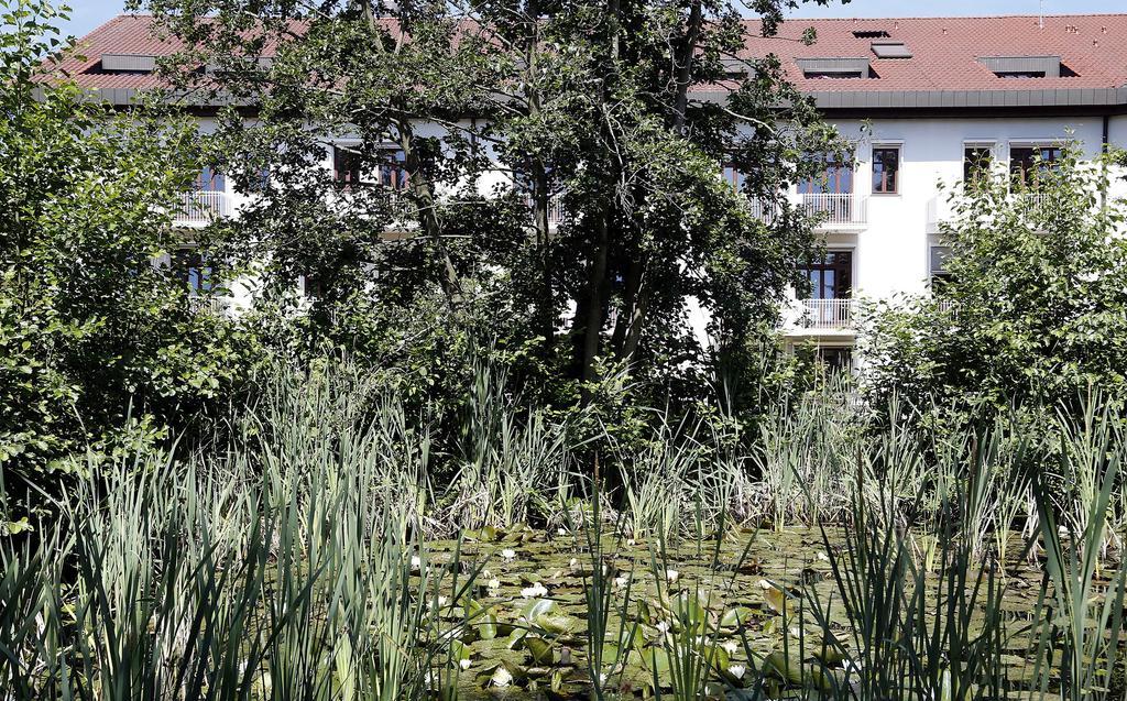 Tagungs- Und Bildungszentrum Steinbach/Taunus Steinbach im Taunus Bagian luar foto